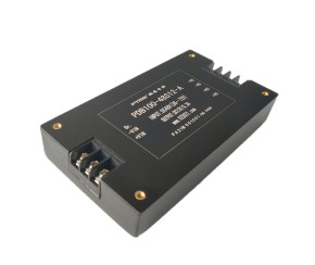 30-100W Isolated DC DC Converter